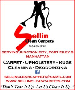 sellincleancarpets – Direct Business Publications