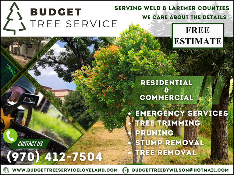 BUDGET TREE SERVICE, WELD COUNTY, CO