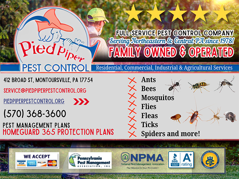 pied piper pest control, lycoming county, pa