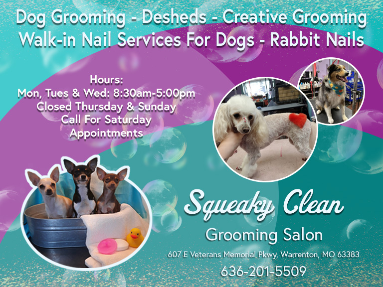 Squeaky clean grooming, warren county, mo