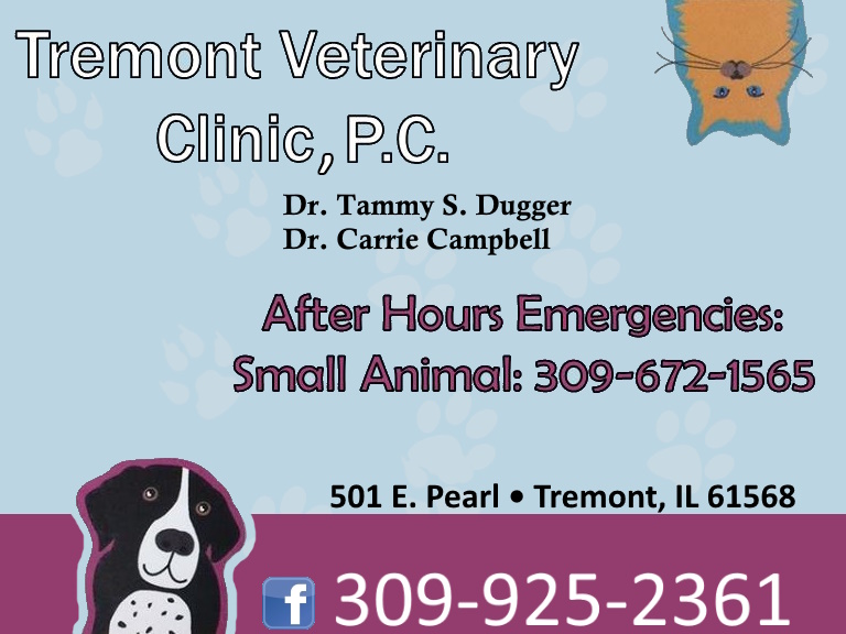 TREMONT VERTERINARY CLINIC, TAZEWELL COUNTY, IL