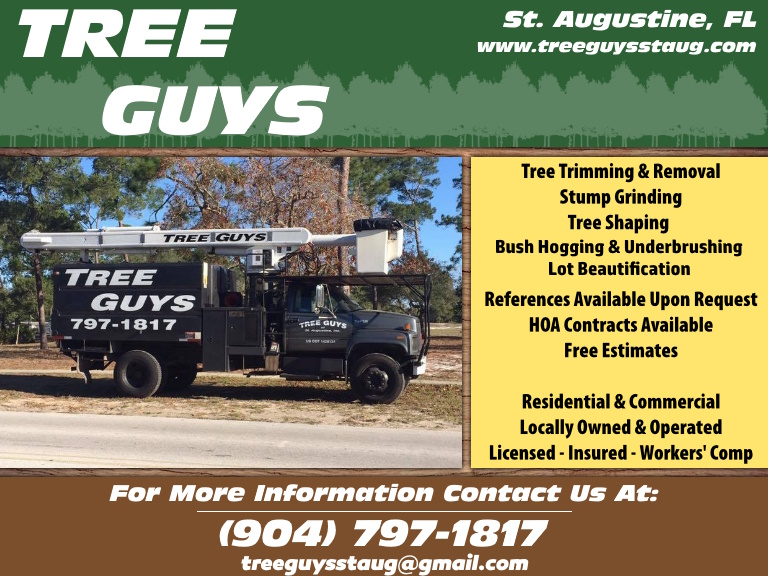 TREE GUYS OF ST. AUGUSTINE, ST. JOHNS COUNTY,FL