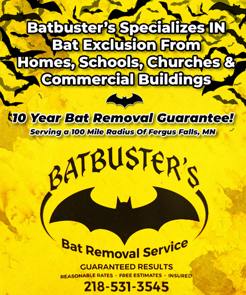 BATBUSTER’S BAT REMOVAL SERVICE, STEVENS COUNTY, MN