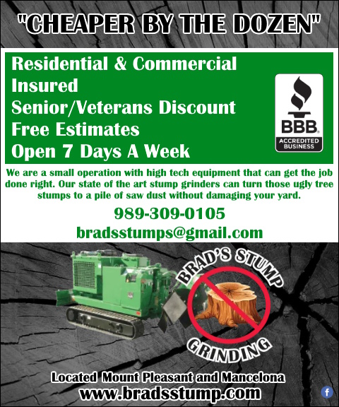 BRAD’S STUMP GRINDING & TREE SERVICE, ISABELLA COUNTY, MI