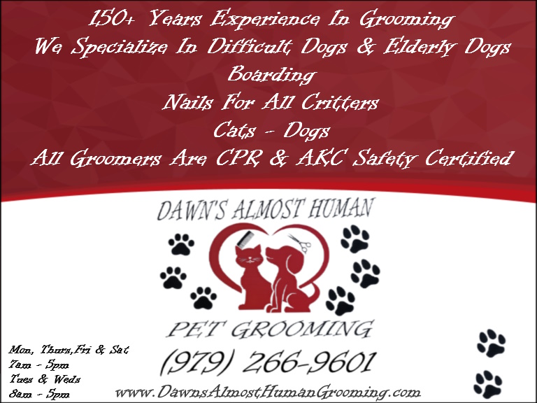 DAWN’S ALMOST HUMAN PET GROOMING, BRAZORIA COUNTY, TX