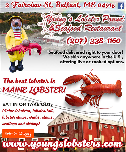 YOUNG’S LOBSTER POUND, WALDO COUNTY, ME